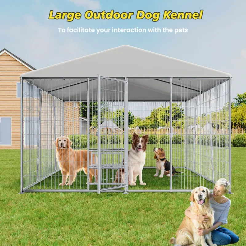 10 x 10-FT heavy-duty outdoor dog kennel with feeding bowl, full coverage waterproof roof, easy-to-assemble wire mesh fence with secure lock.